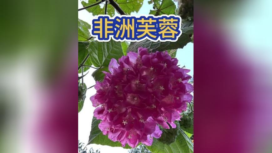 什么是灭魂丹式教育,澳门管家婆一肖一码一中一持,重点解答解释落实_静态版V15.84