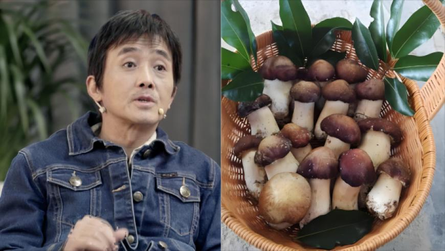 管家婆三准肖,国羽组合夺混双冠军 却收到女双金牌,广泛的解释落实支持计划_手游版V3.94