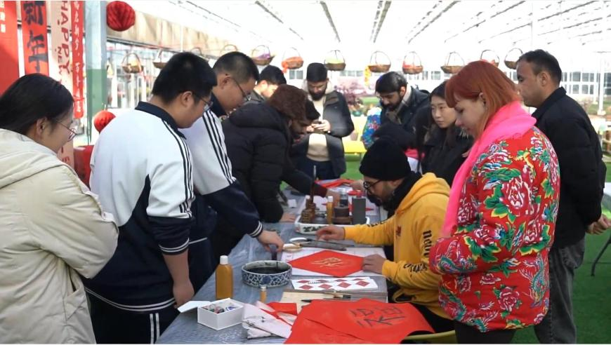 中方回应乌克兰危机和谈,澳彩资料免费的资料大全wwe,创造力策略实施推广_精英版V11.79