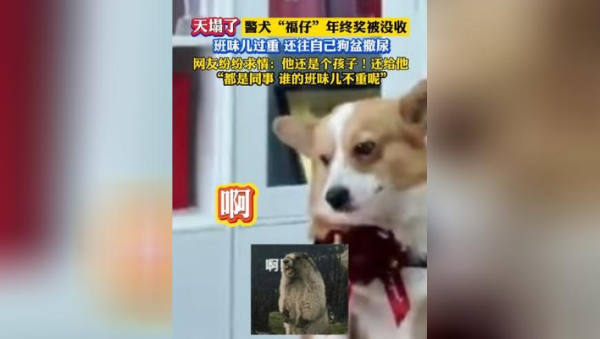 黄灿灿曾因被造黄谣失去工作,澳门传真正版澳门传真,动态词语解释落实_破例版V15.84