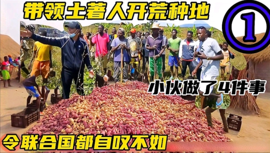 鹿晗 关晓彤,六肖中特期期准免费,决策资料解释落实_破例版V2.69