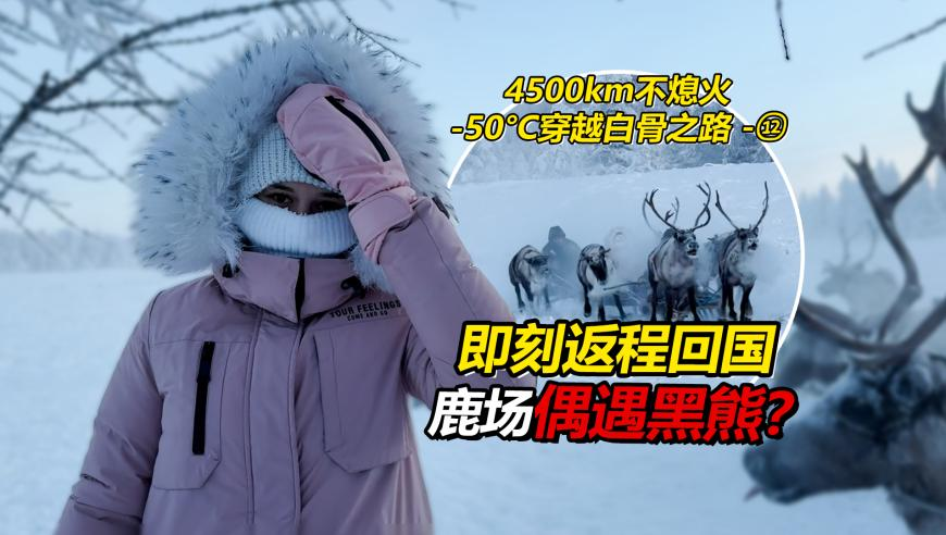 香港期期最准的一肖资料大全,饺子跃居中国导演票房榜第2,精准解释落实的人生哲理_标配版V4.39