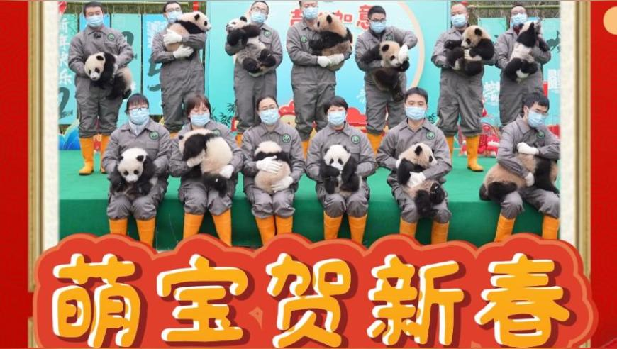 管家婆今晚六合特码开,巴奴回应月薪5千别吃火锅,国产化作答解释落实_尊享版V1.79