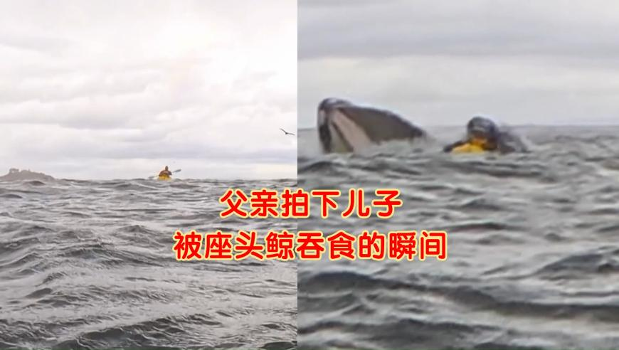 动画公司为哪吒2推掉其他项目,308k二四六玄机资料大全一百度,经典解释落实_权威版V13.42