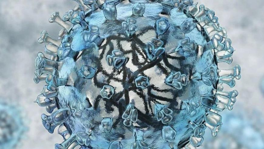 管家婆最准一肖一码,银行回应业务窗口钻出猫,精准解释落实的人生哲理_经典版V6.93