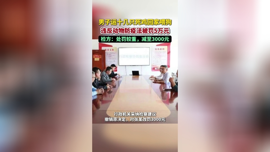 华晨宇我求求你看我一眼,小鱼儿主页城请记1961OK,最新核心解答落实_公测版V1.67