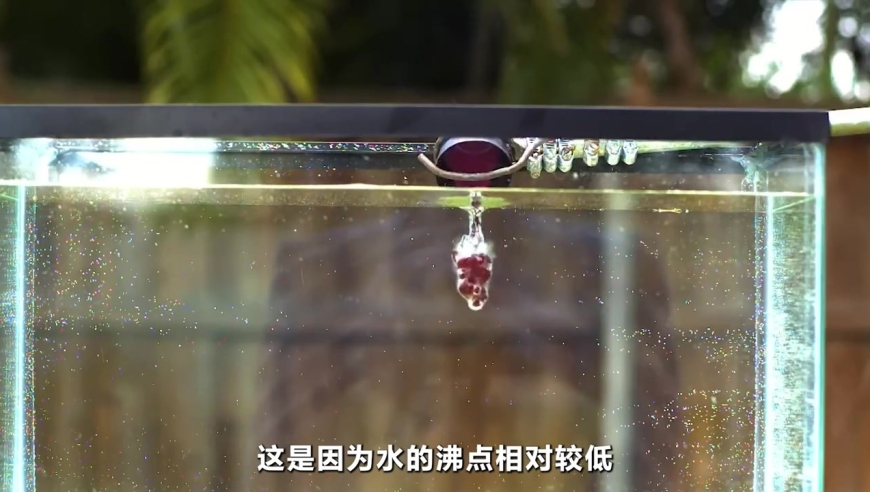 新澳门48049六开彩资料大全,吴昌泽战旧主仅得3分3板,多元化方案执行策略_免费版V14.44