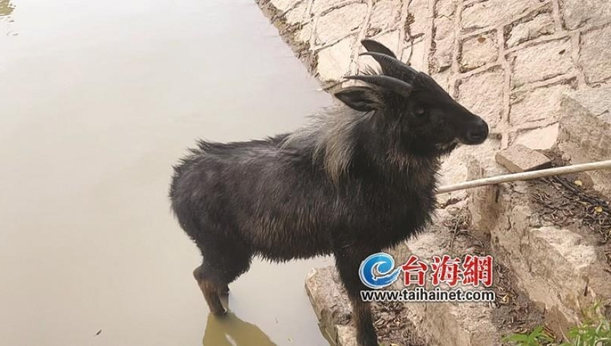 香港最准开奖结开奖结果,美股全线暴跌,决策资料解释落实_完整版V5.100