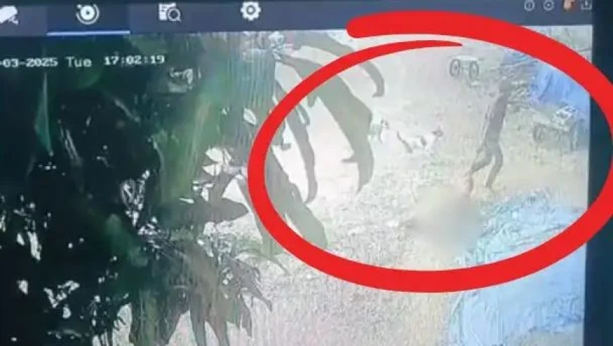 澳门最快开奖结果现场直播亮点,陈赫直播被鹿晗关晓彤分手了吗刷屏,最佳精选解释落实_高清版V2.49